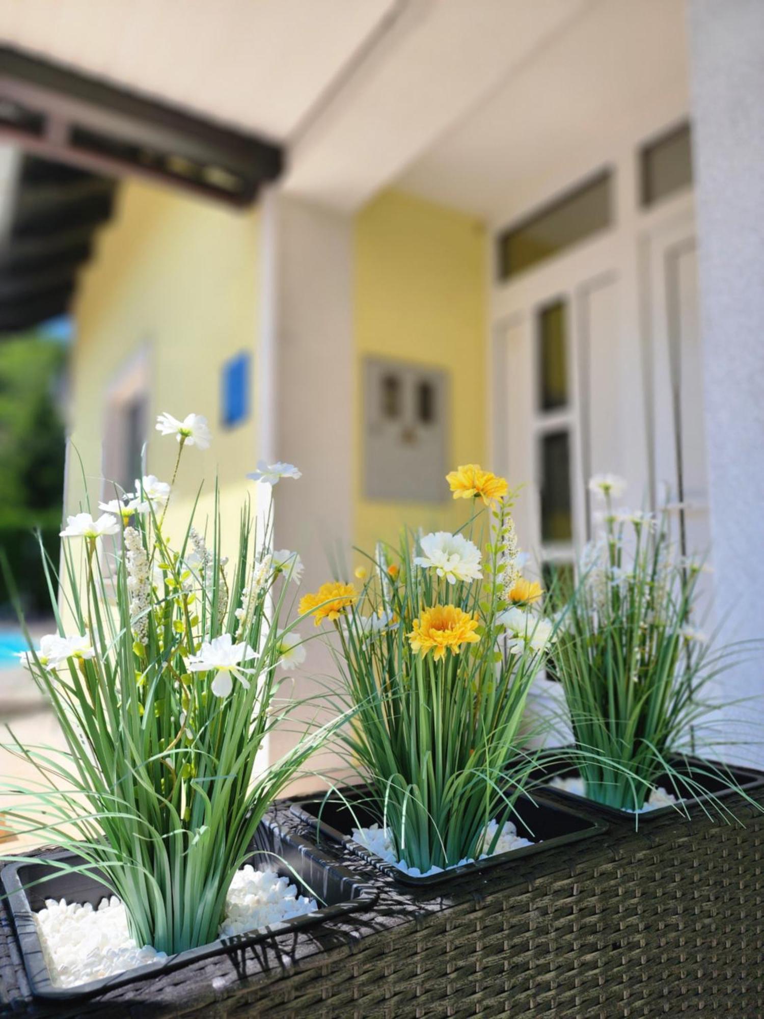 Villa Spa Magic Тухелске Топлице Екстериор снимка